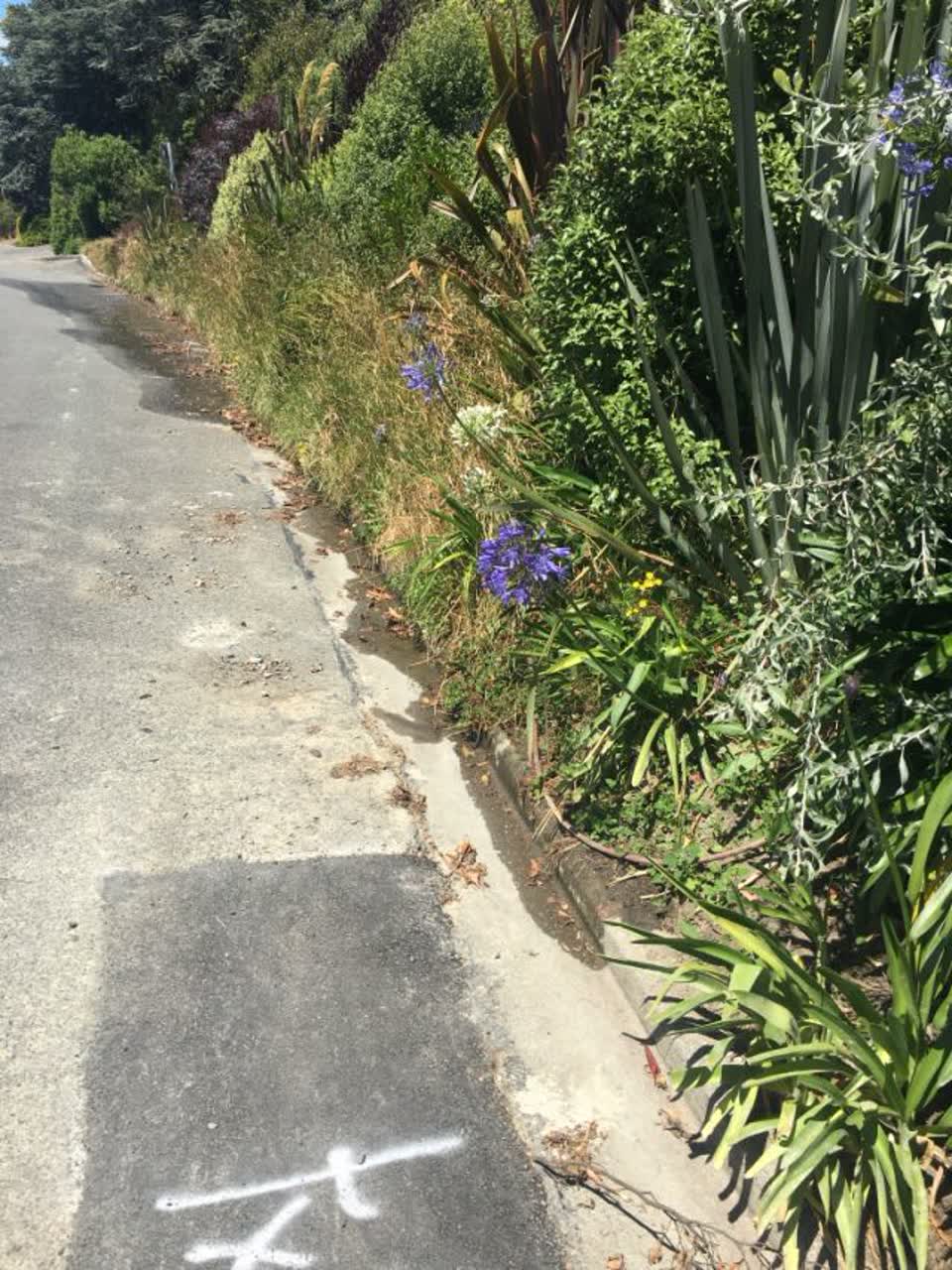 The photograph attached to this water supply report