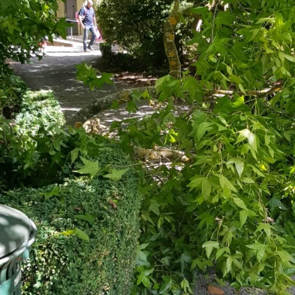 The photograph attached to this parks report