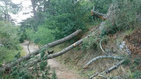 Parks, a report photo