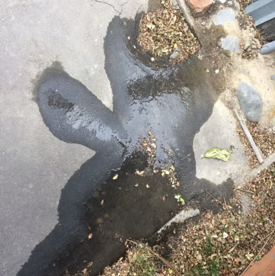The photograph attached to this water supply report