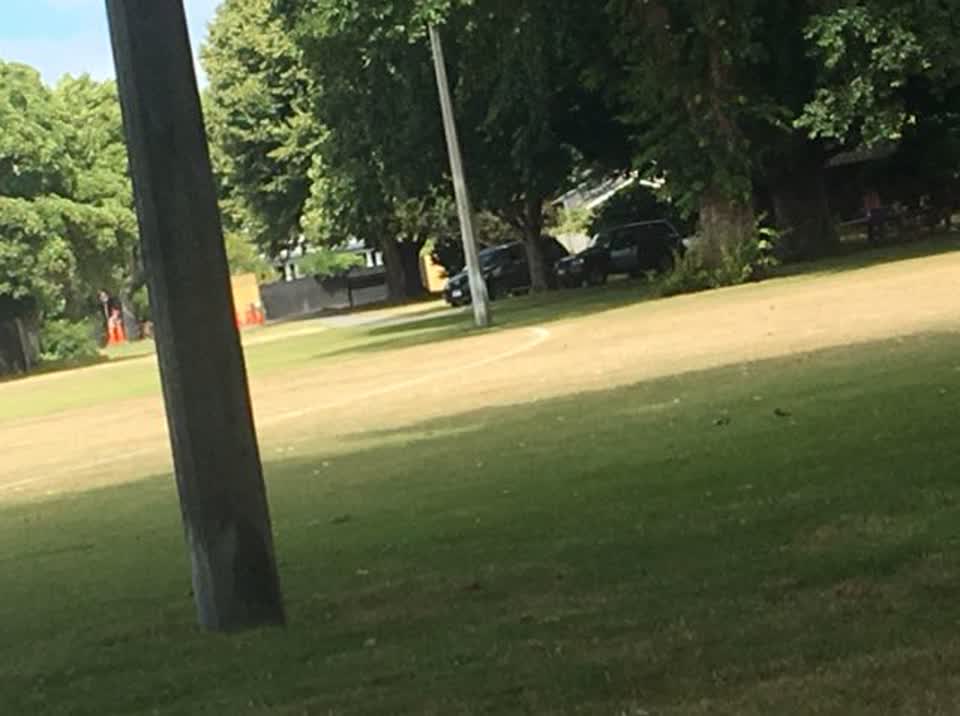 The photograph attached to this parks report