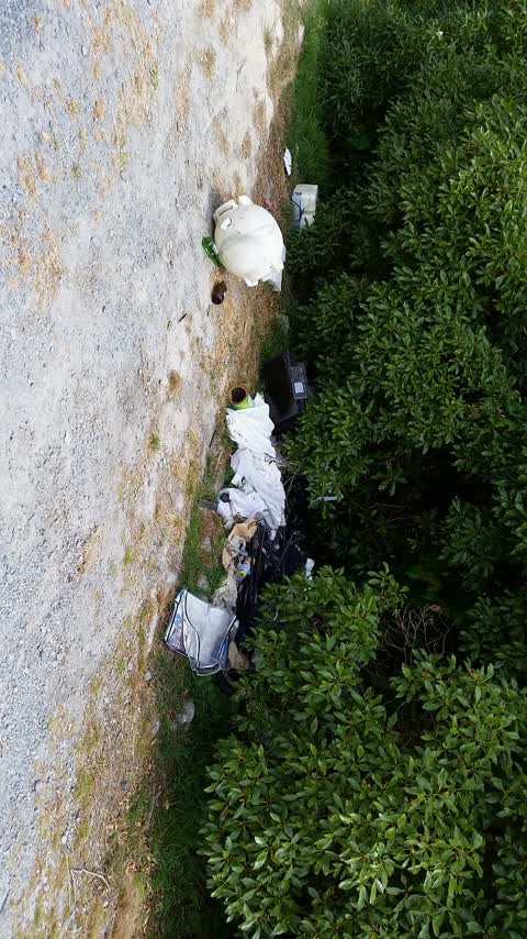 Rubbish/Recycling — a report photo