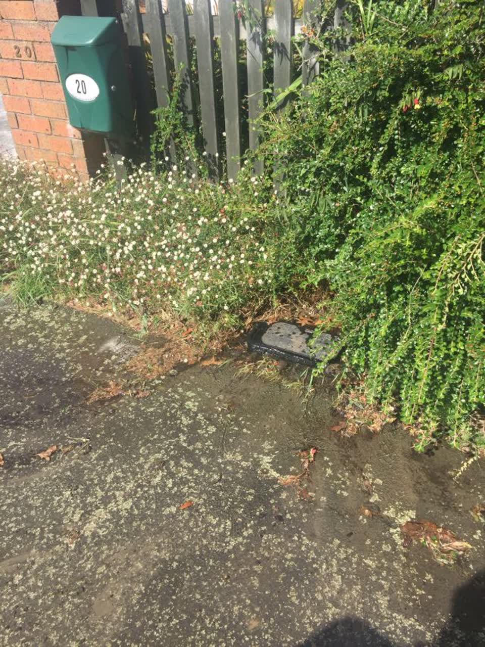 The photograph attached to this water supply report