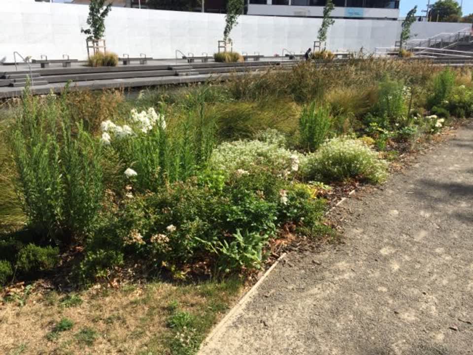 The photograph attached to this parks report