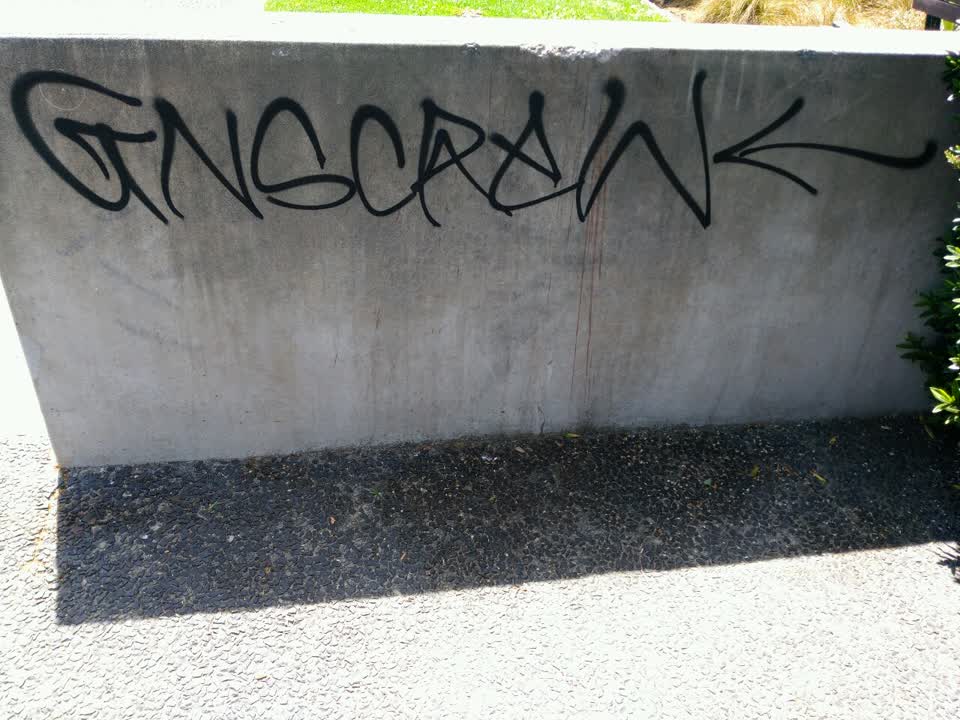 The photograph attached to this graffiti report