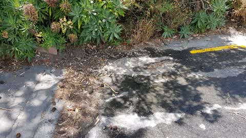 Roading/Streets, a report photo