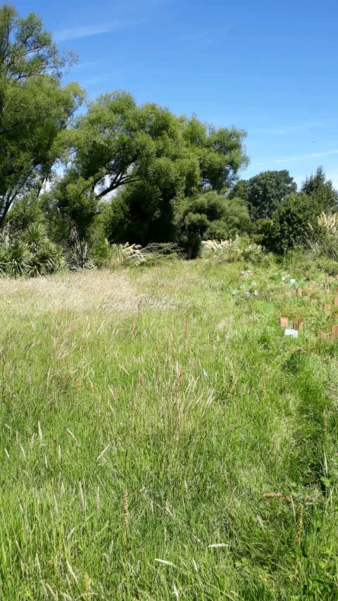 Parks, a report photo