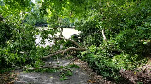 Parks, a report photo