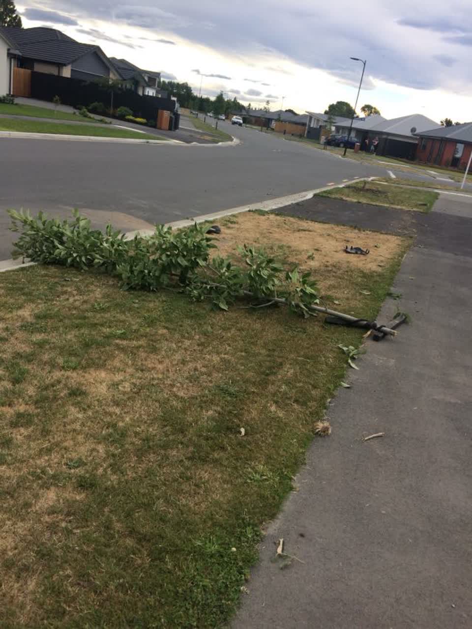 The photograph attached to this roading/streets report