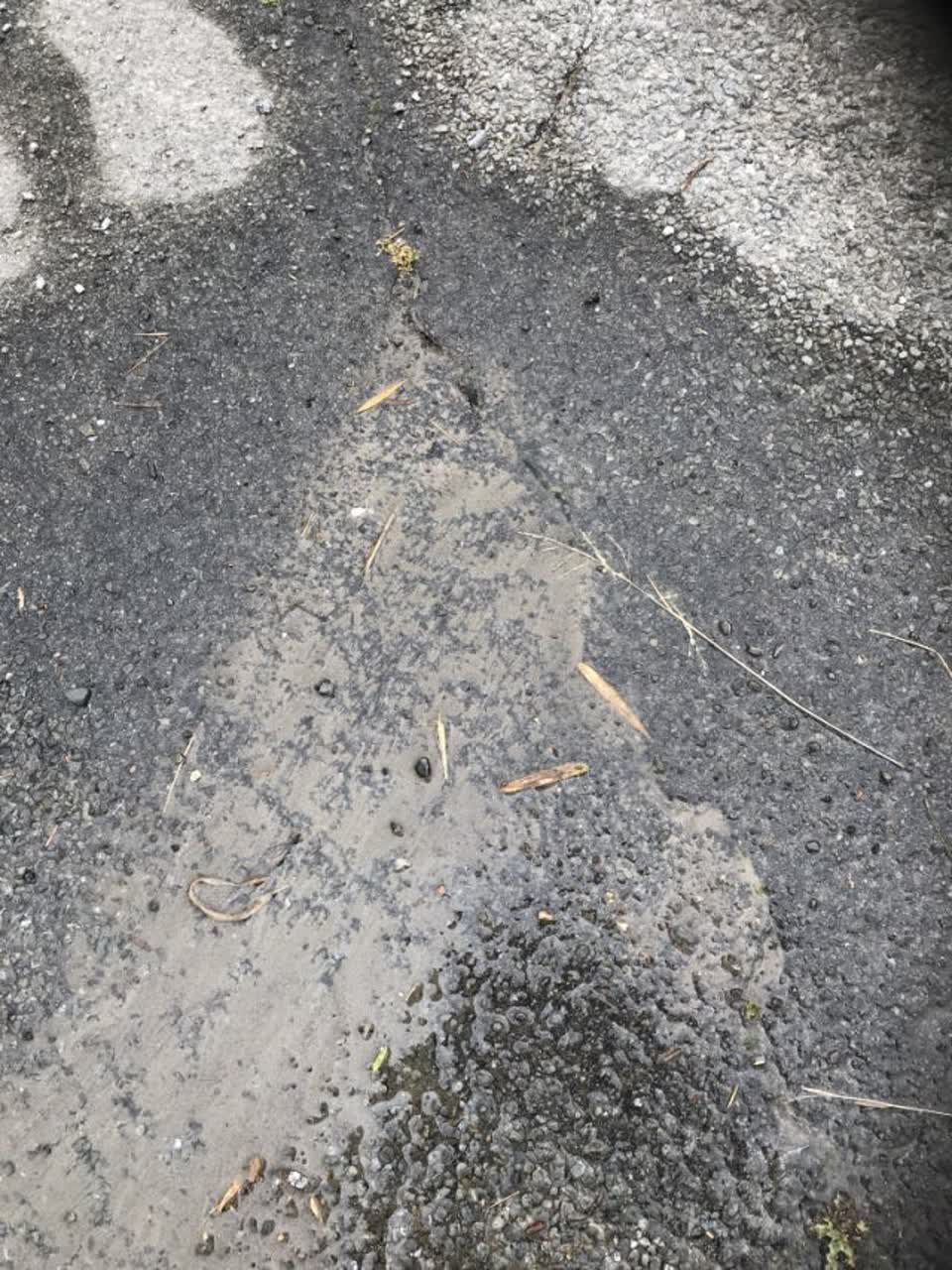 The photograph attached to this water supply report