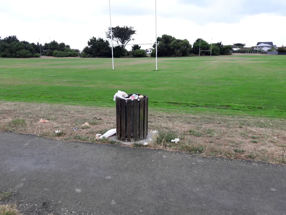 The photograph attached to this parks report