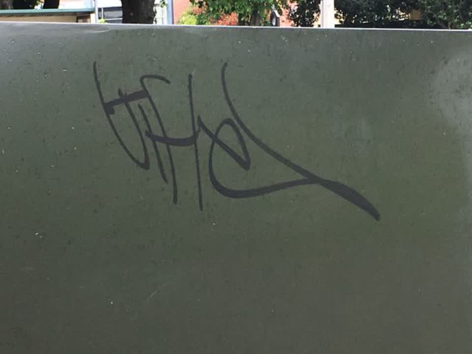 The photograph attached to this graffiti report