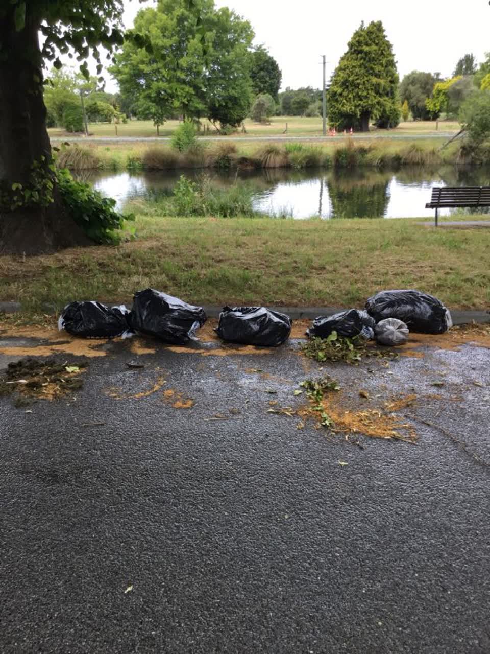 The photograph attached to this rubbish/recycling report