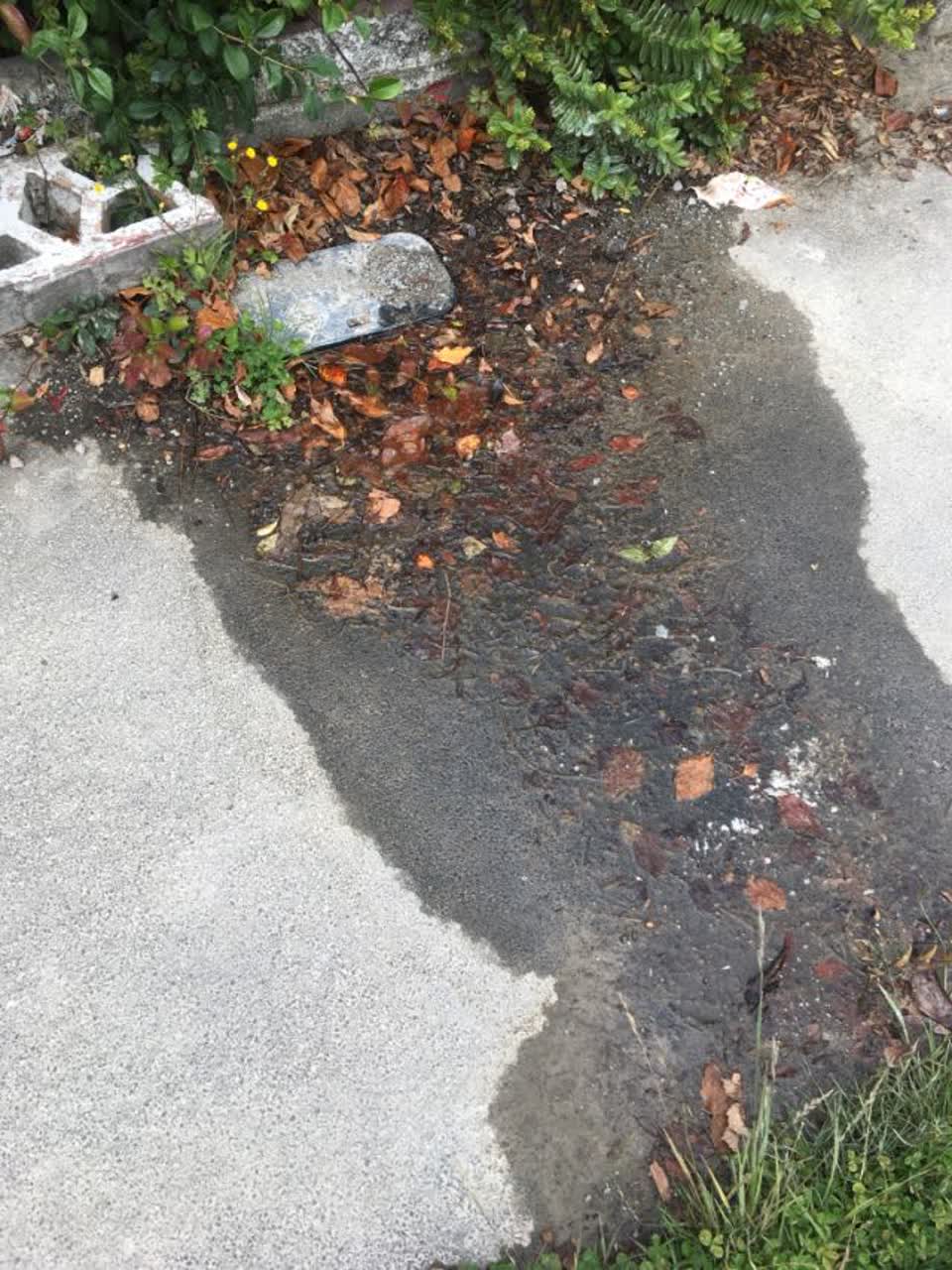 The photograph attached to this water supply report