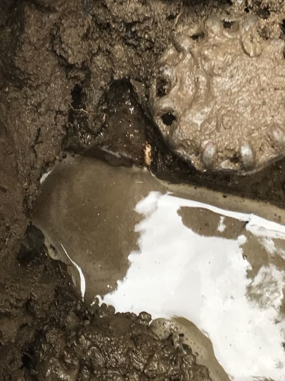 The photograph attached to this water supply report
