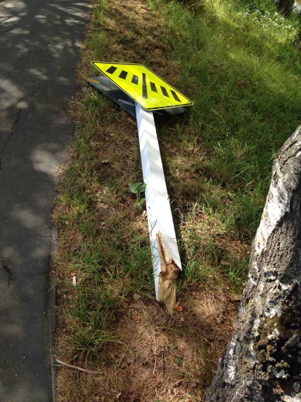 The photograph attached to this roading/streets report