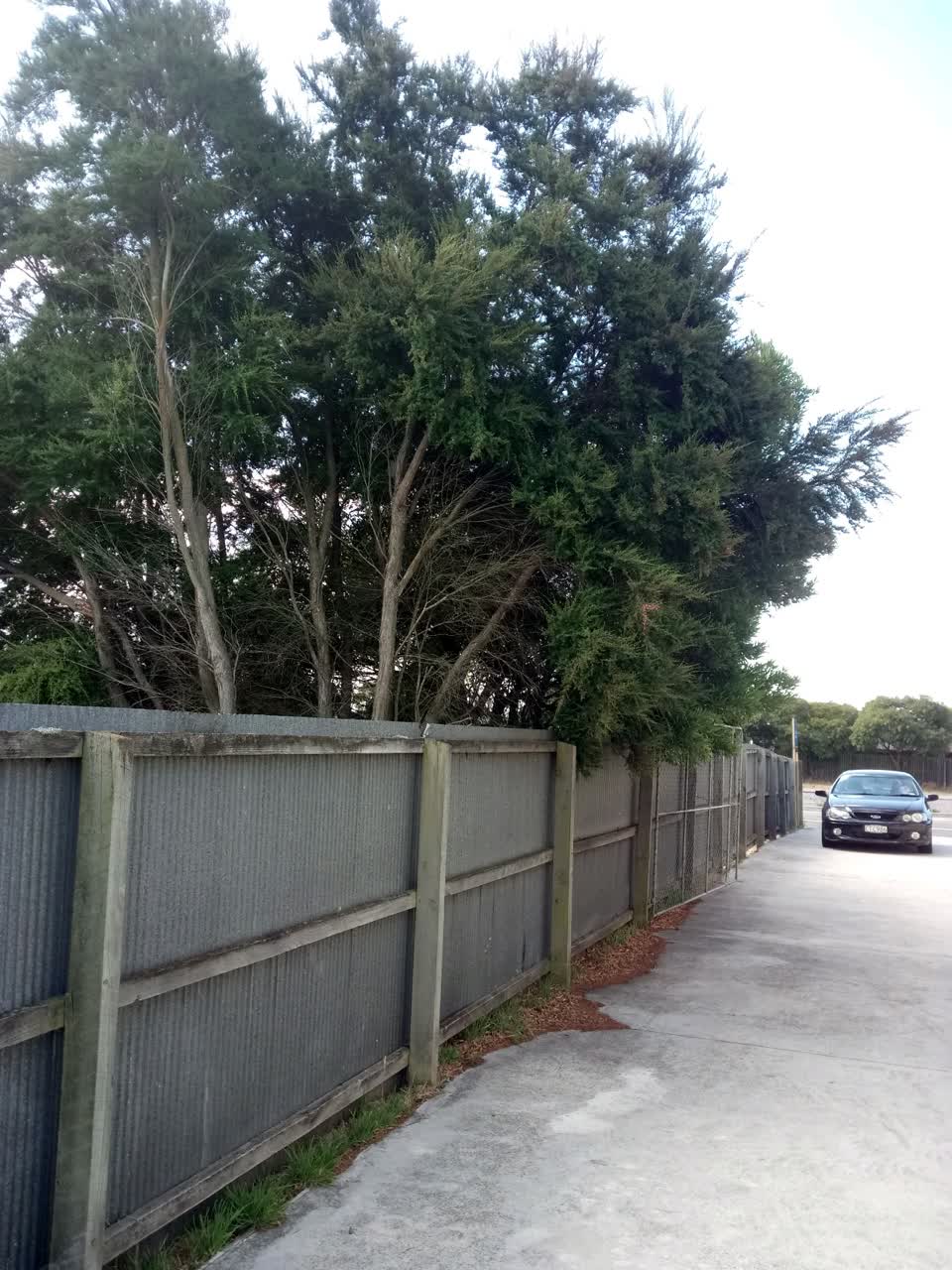 The photograph attached to this parks report