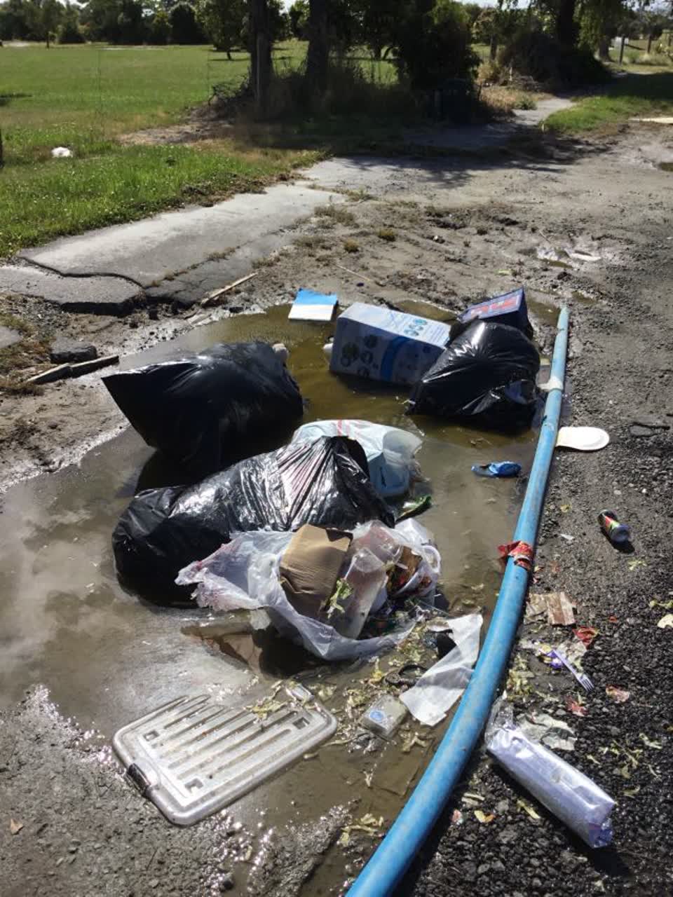 The photograph attached to this rubbish/recycling report