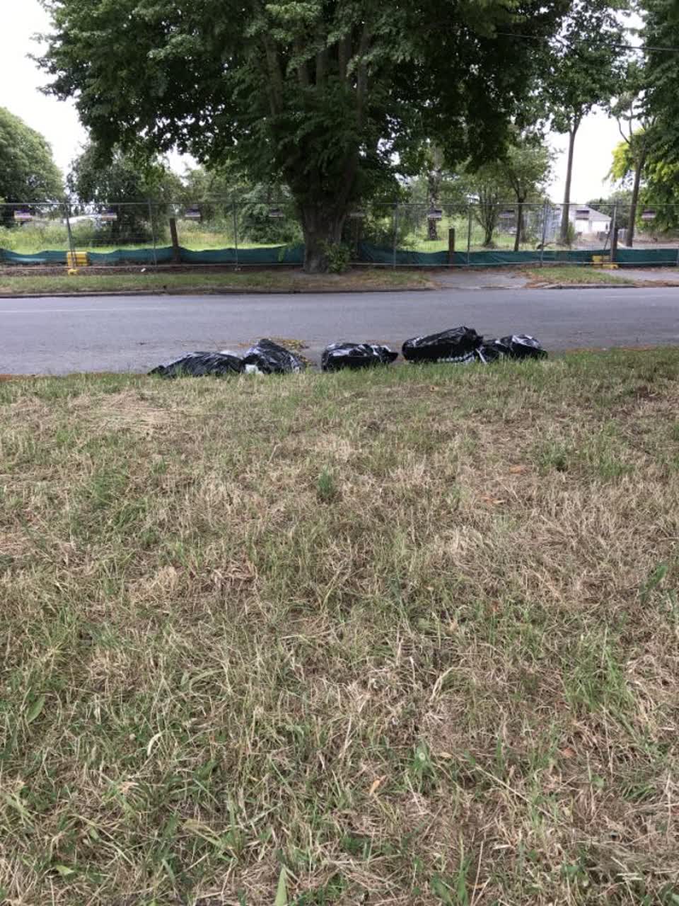 The photograph attached to this rubbish/recycling report