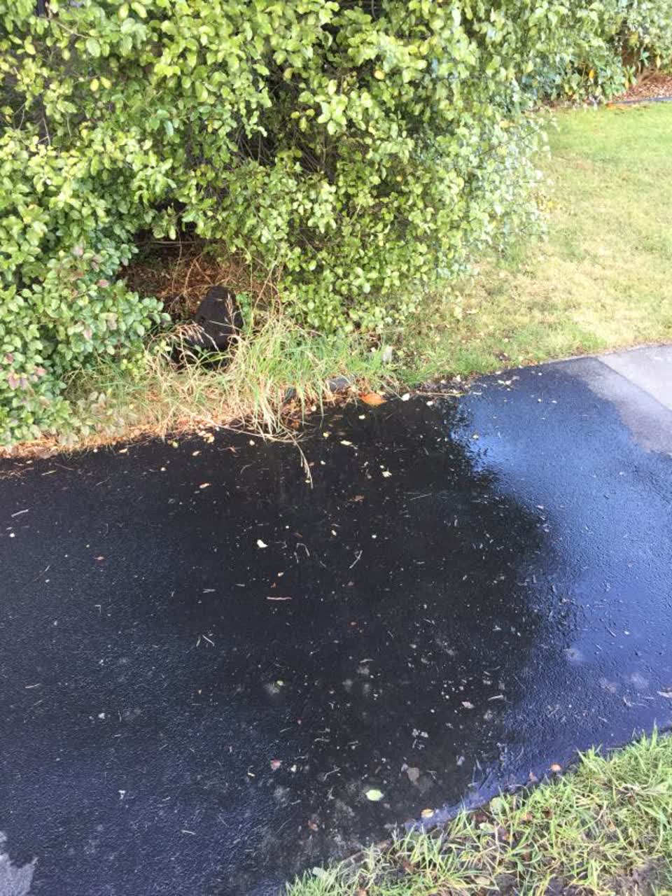 The photograph attached to this water supply report