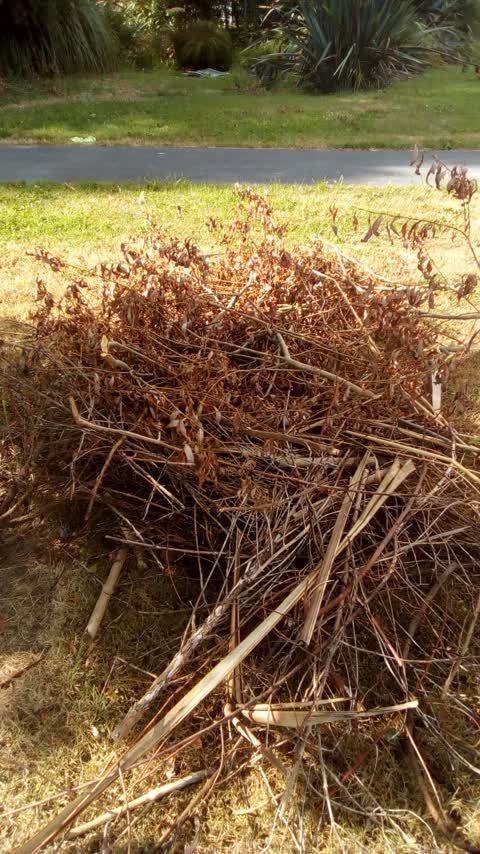 Rubbish/Recycling, a report photo