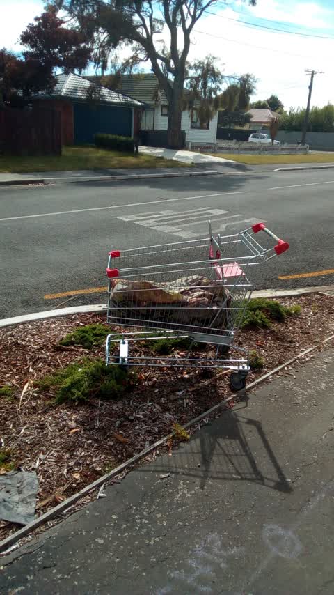 Rubbish/Recycling, a report photo