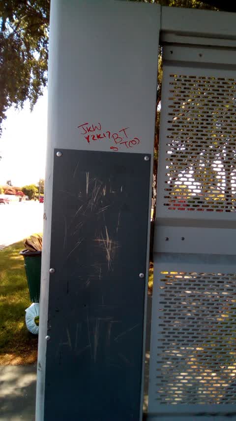 Graffiti, a report photo