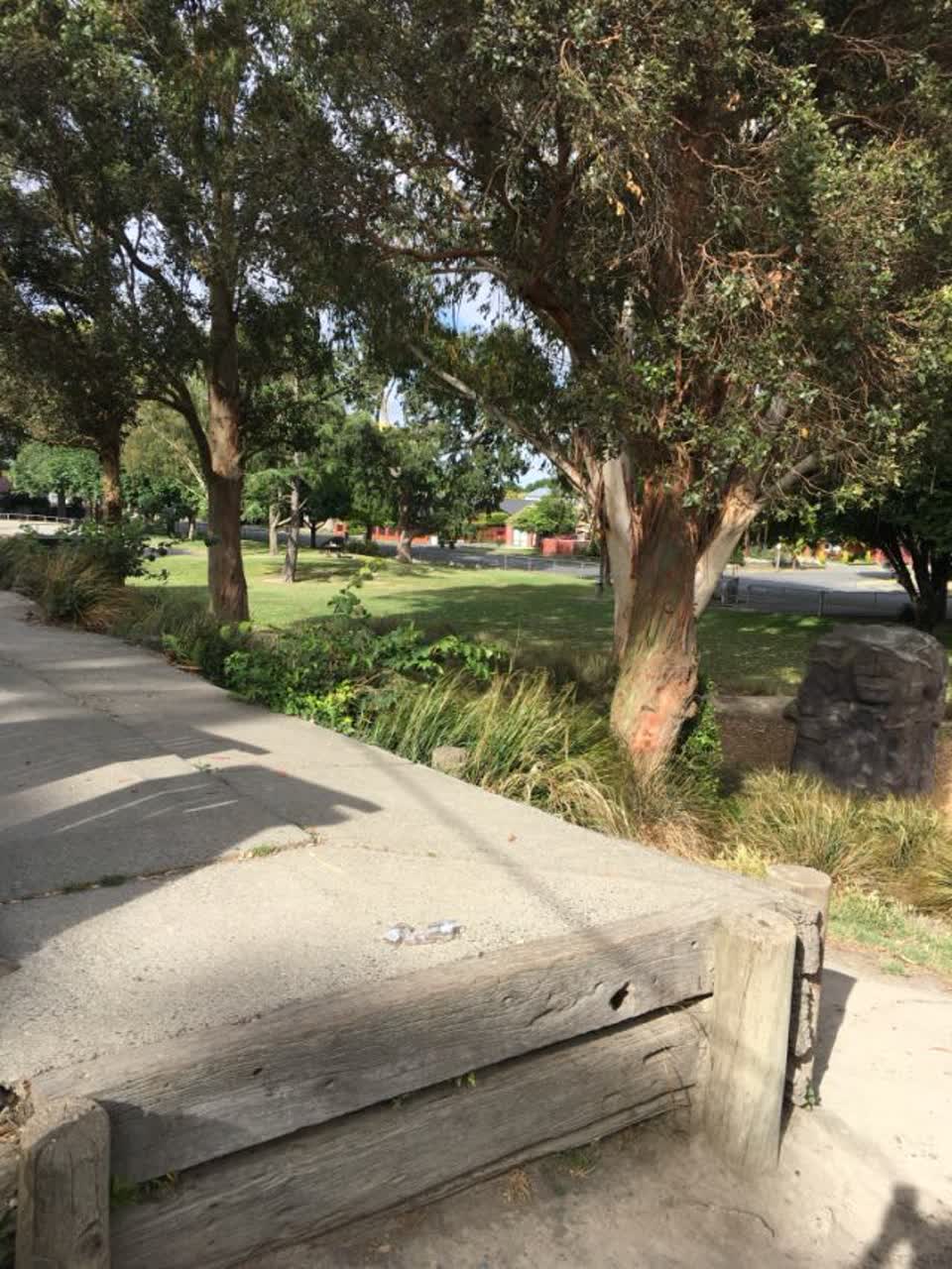 The photograph attached to this parks report