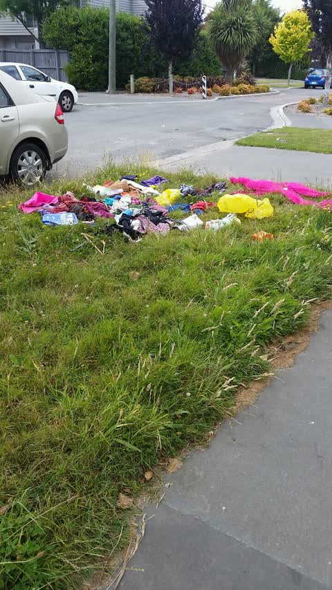 Rubbish/Recycling — a report photo