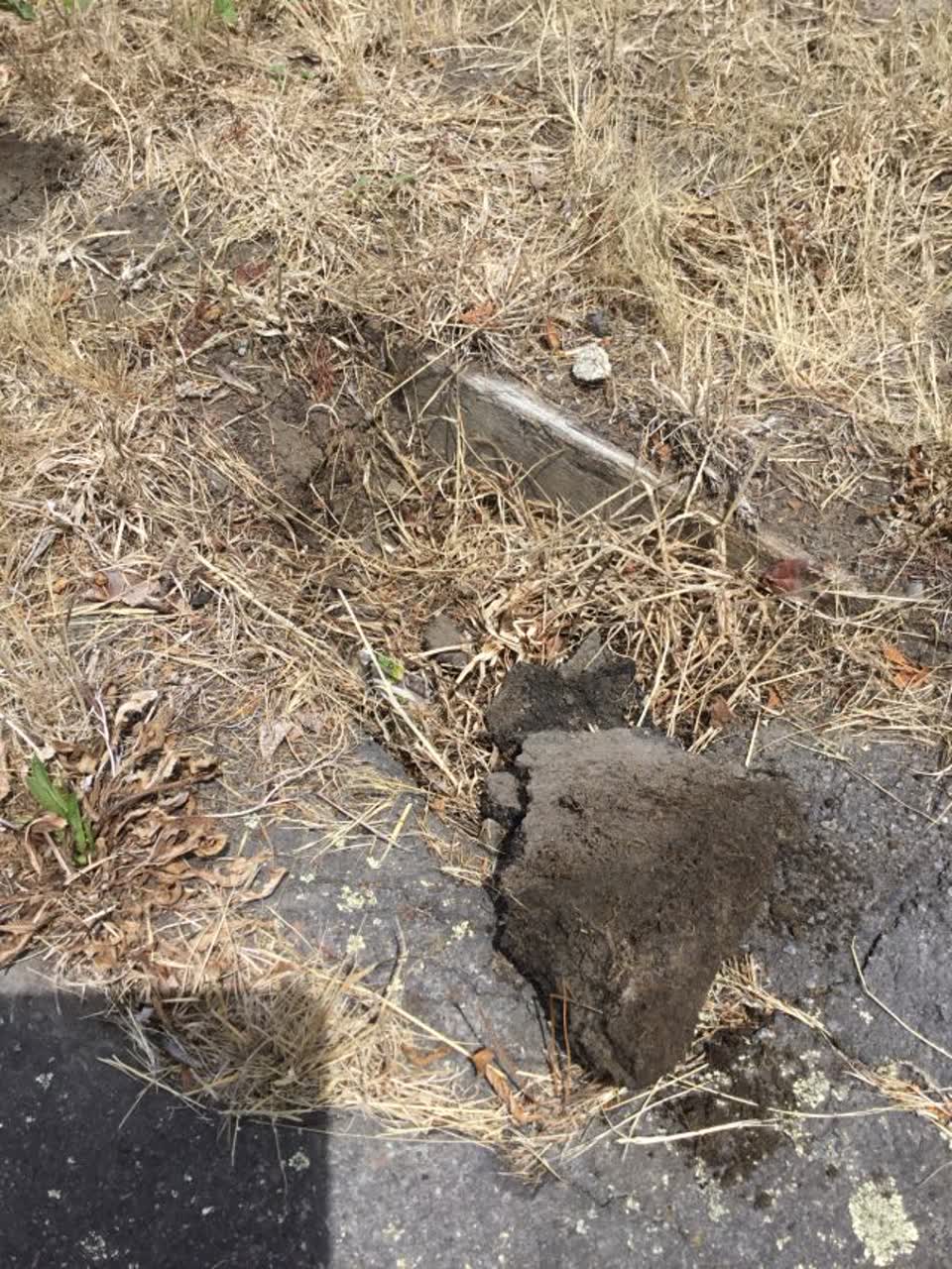 The photograph attached to this roading/streets report
