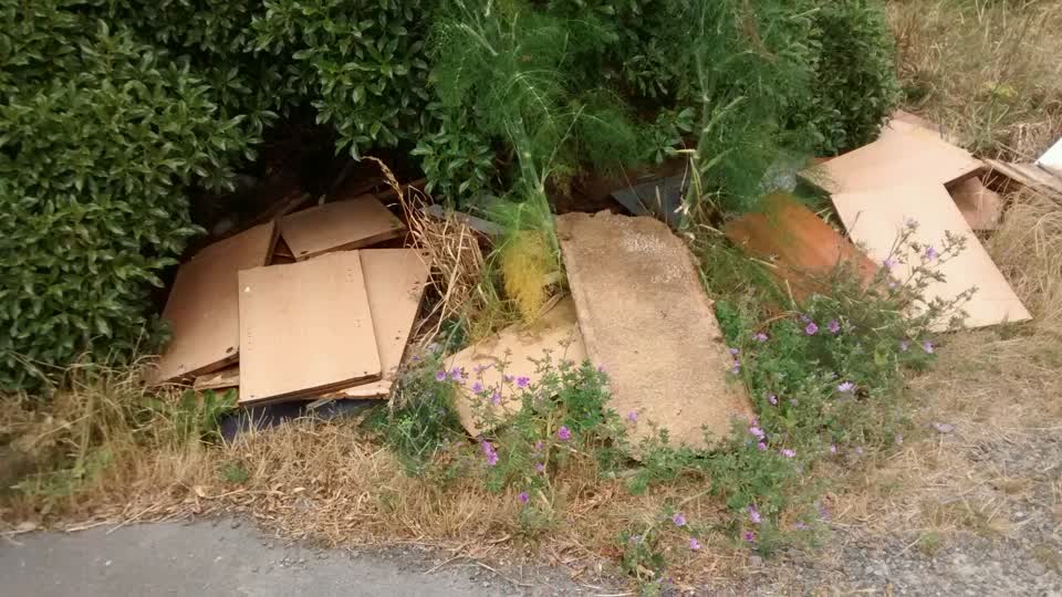The photograph attached to this rubbish/recycling report