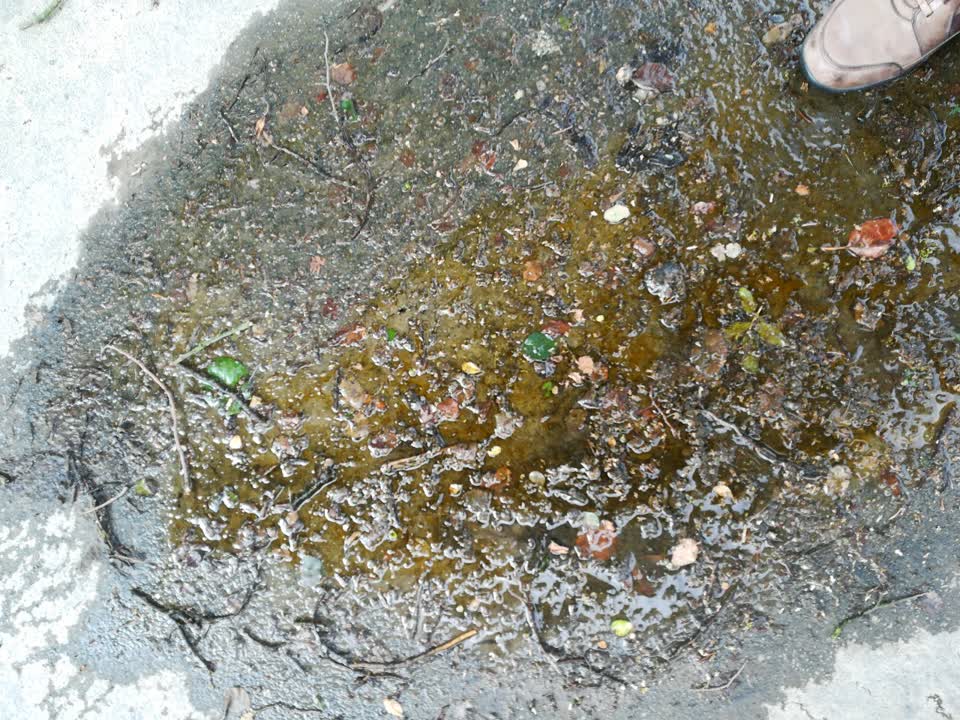 The photograph attached to this water supply report