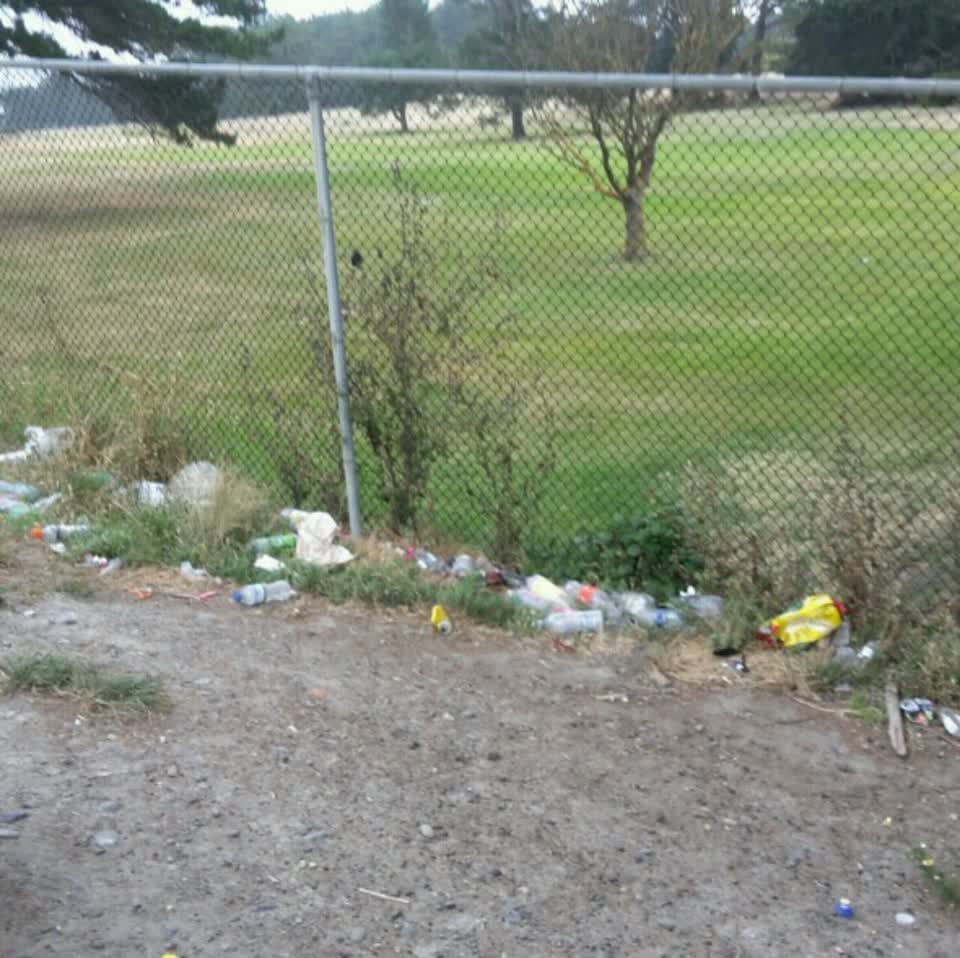 The photograph attached to this parks report