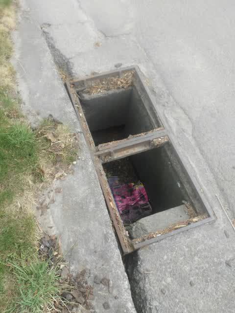 Wastewater/Stormwater, a report photo