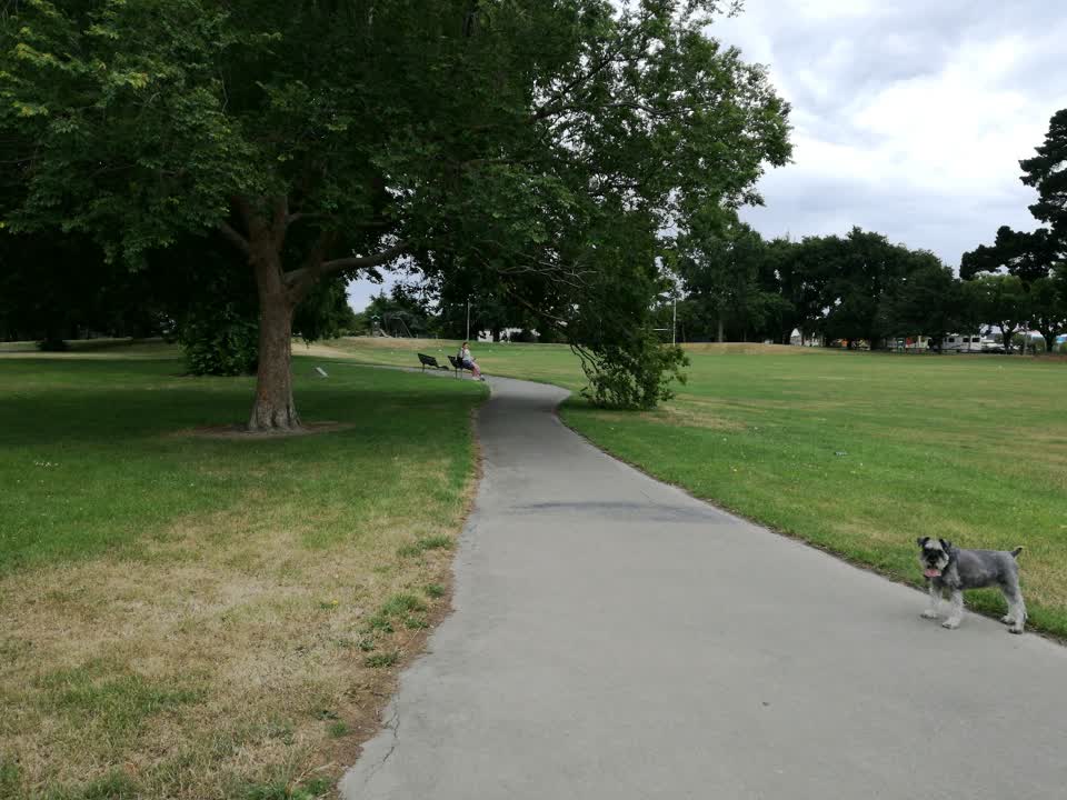 The photograph attached to this parks report