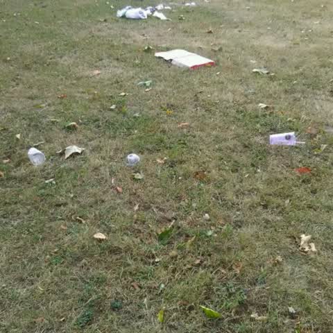 Rubbish/Recycling, a report photo