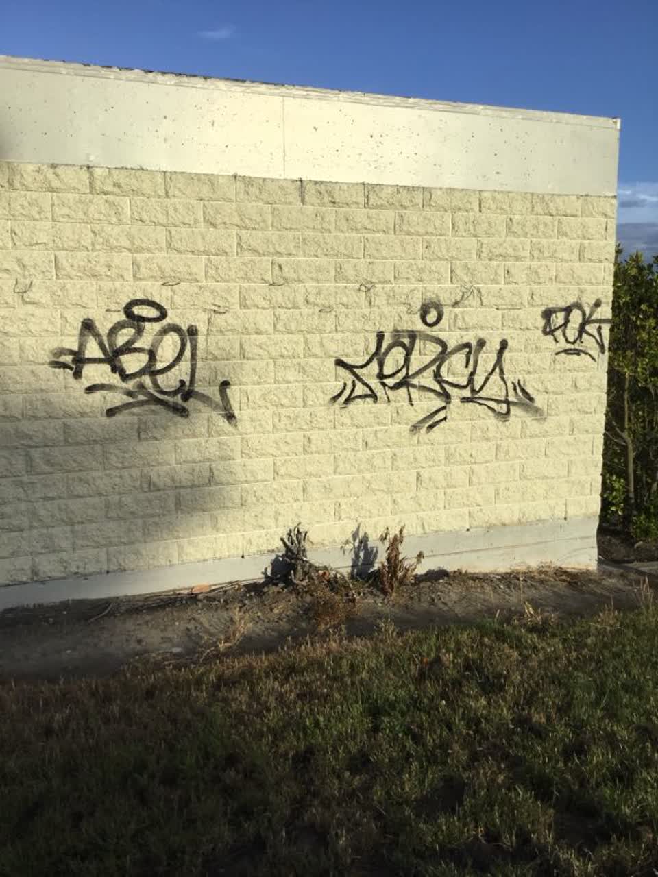 The photograph attached to this graffiti report