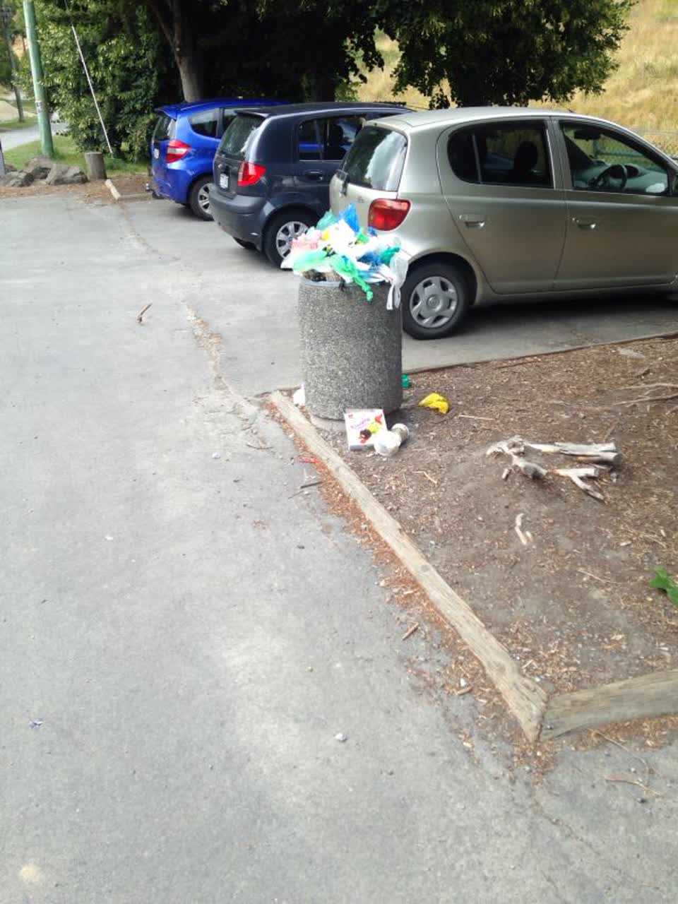 The photograph attached to this rubbish/recycling report