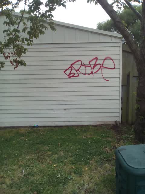 Graffiti, a report photo