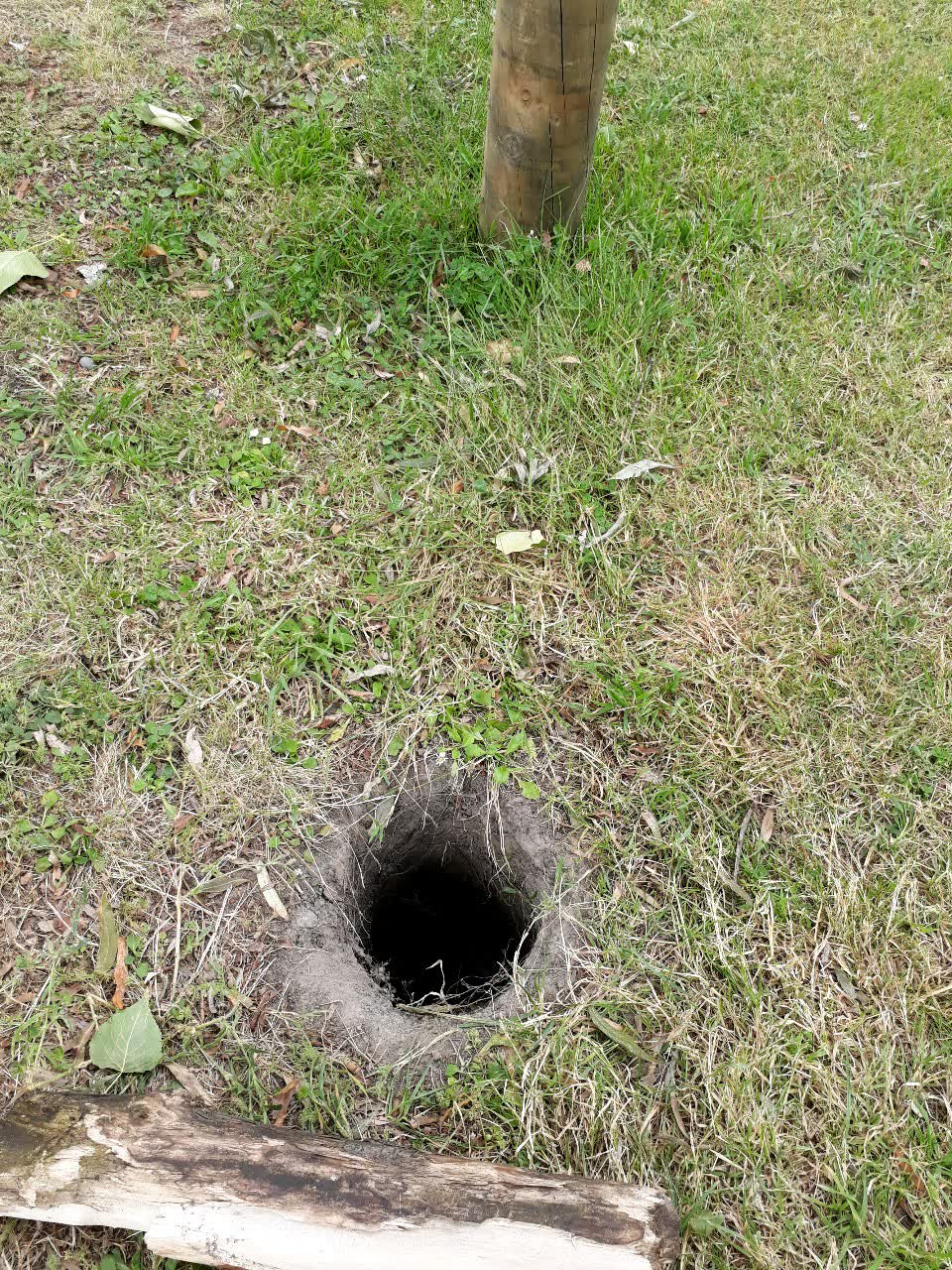 The photograph attached to this parks report