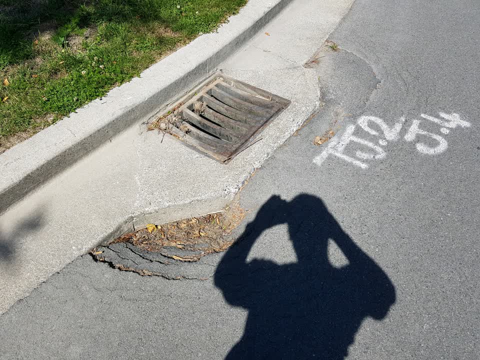 The photograph attached to this roading/streets report