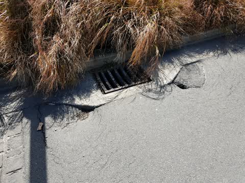 Roading/Streets, a report photo