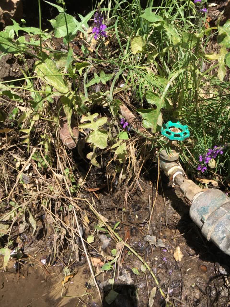 The photograph attached to this water supply report