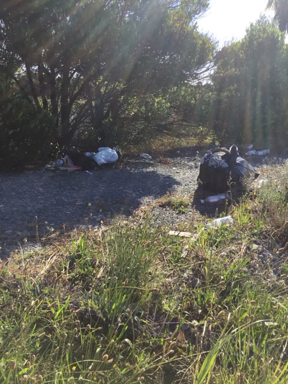 The photograph attached to this rubbish/recycling report