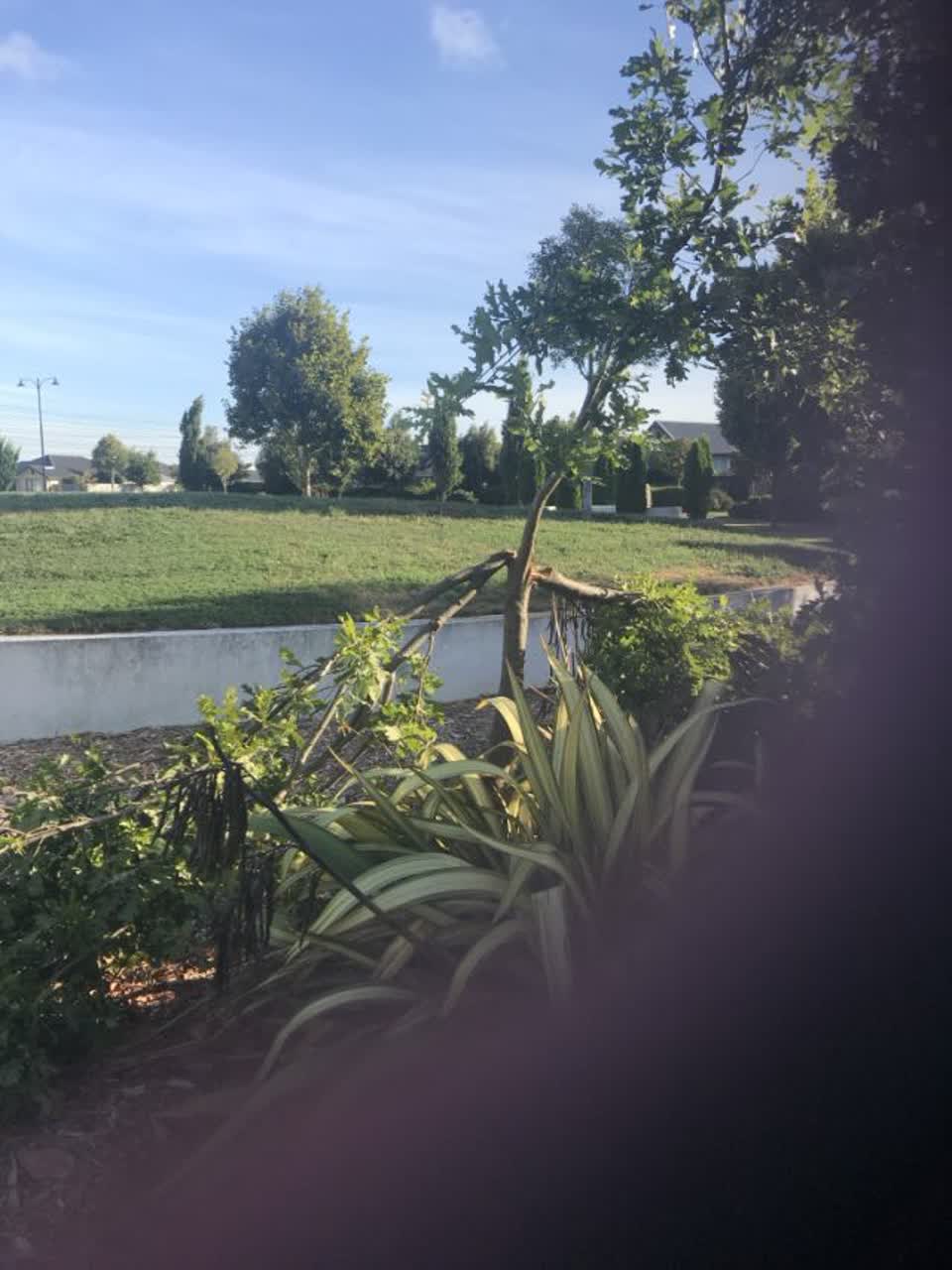 The photograph attached to this parks report