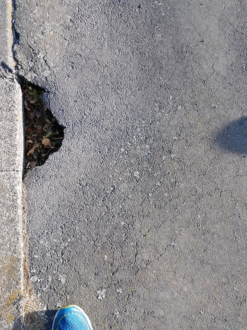 The photograph attached to this roading/streets report