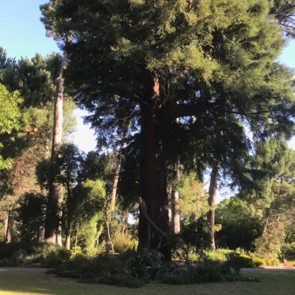 The photograph attached to this parks report