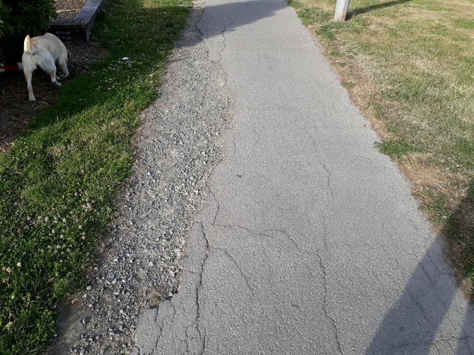 The photograph attached to this parks report