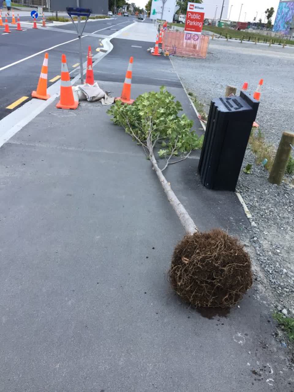The photograph attached to this roading/streets report