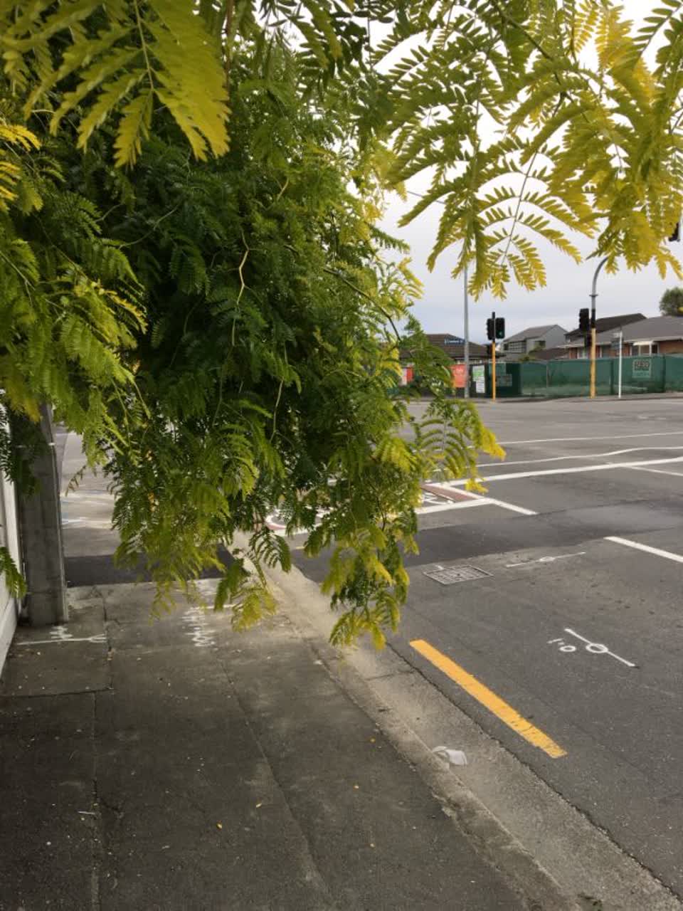 The photograph attached to this roading/streets report